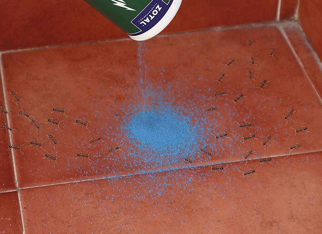 Insecticidas para cucarachas - La mejor selección del 2023