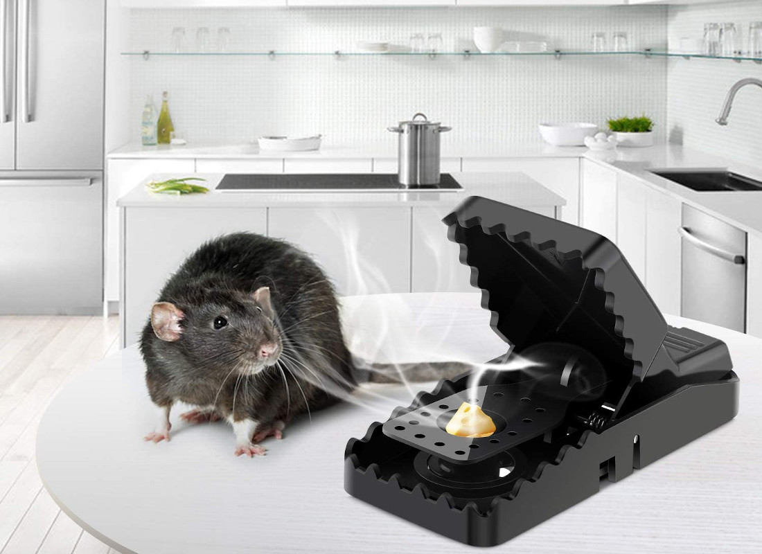 Trampas para atrapar ratones - La mejor selección del 2023