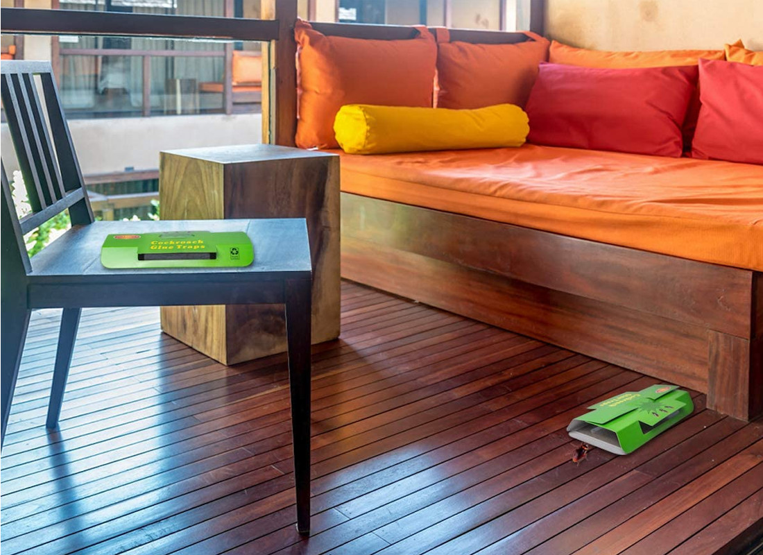 Trampas para cucarachas - La mejor selección del 2023